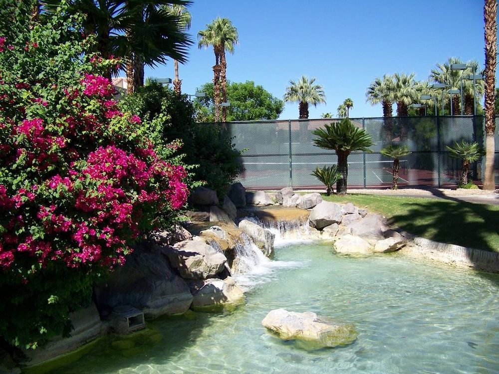 The Oasis Resort Palm Springs Kemudahan gambar